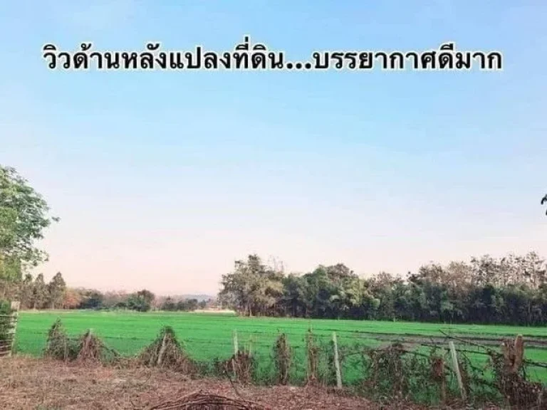 ที่ดินเปล่าสันกำแพงบวกค้าง 200 ตรว เพียง 219 ล้านเท่านั้น