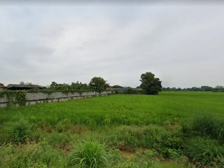 ขายที่ดินคู้ยายหมี 5 ไร่ ติดถนนห้วยนา-บางมะเฟือง ใกล้ถนนเส้น