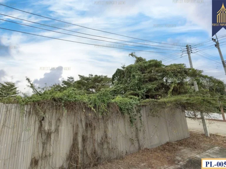 ที่ดิน ในโครงการบ้านจัดสรร พิเชฐพัชร เดินทางสะดวกสะบายเหมาะส