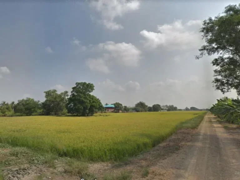 ที่ดินคลองหลวง คลองหกตะวันออก ตรงข้าม วัดผลาหาร ขนาด