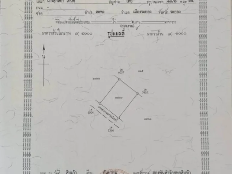 ที่ดินเปล่า ถมดินแล้ว มีโฉนด ตะพง ระยองLand for sale land