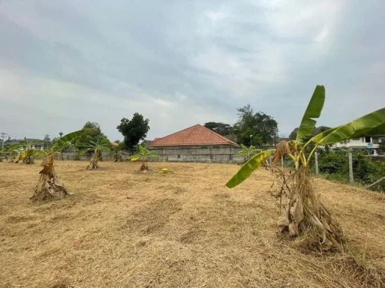 ที่ดินตสันผีเสื้อ อเมืองเชียงใหม่ ใกล้เมืองเชียงใหม่