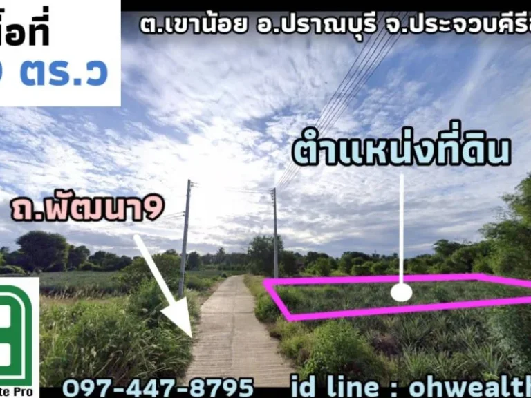 ขายที่ดิน ถนนพัฒนา9 อำเภอปราณบุรี ใกล้โลตัสปราณ 12 กม