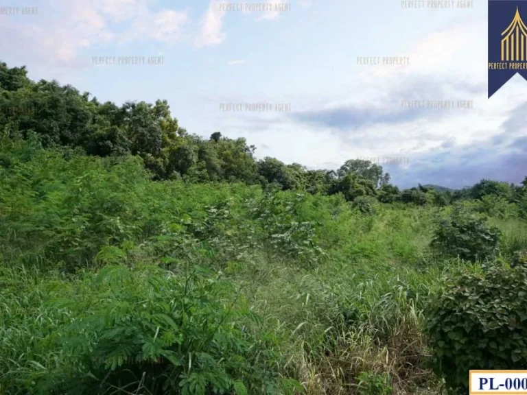 ที่ดินถมปรับระดับแล้ว สีเหลือง ทำเลดีมองเห็นวิวทะเล ศรีราชา