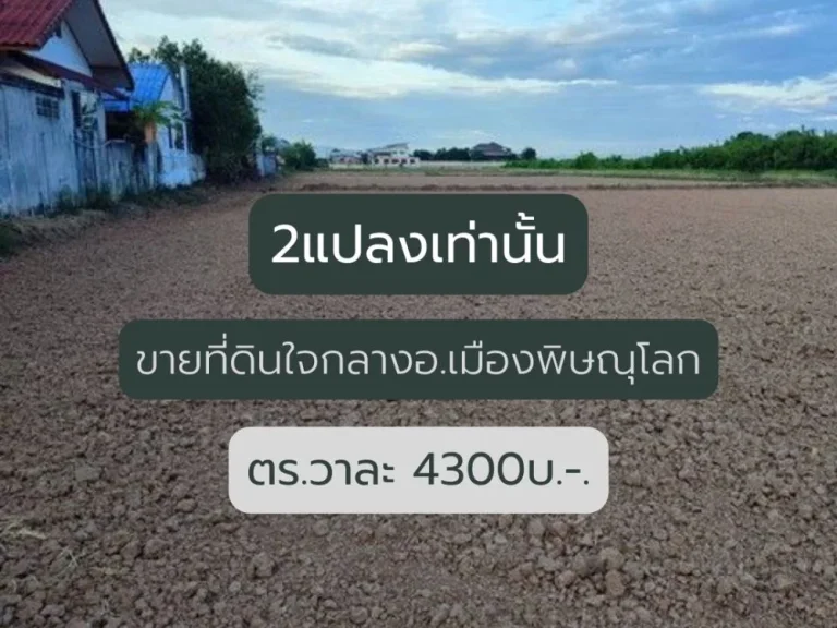 ขายที่ดินเปล่า ขนาด 2 ไร่ 85ตรวา มีให้เลือก2แปลง