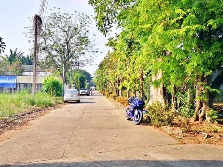 ขายที่ดินจัดสรรเก่า ถนนสันกำแพงสายเก่า ใกล้ดีญ่า วาเล่ย์