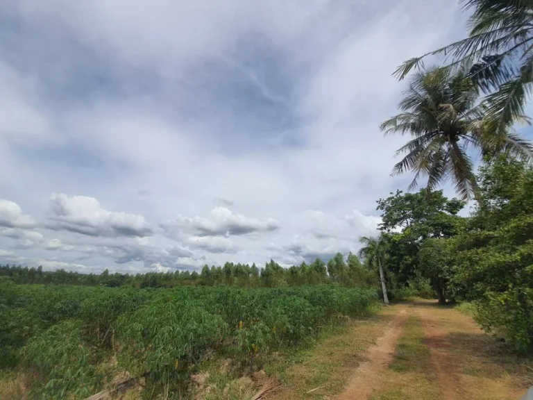 ขายที่ดินบ่อทอง 39 ไร่ ติดคลอง ติดถซอยหนองยายเภา-เจริญโชคดี