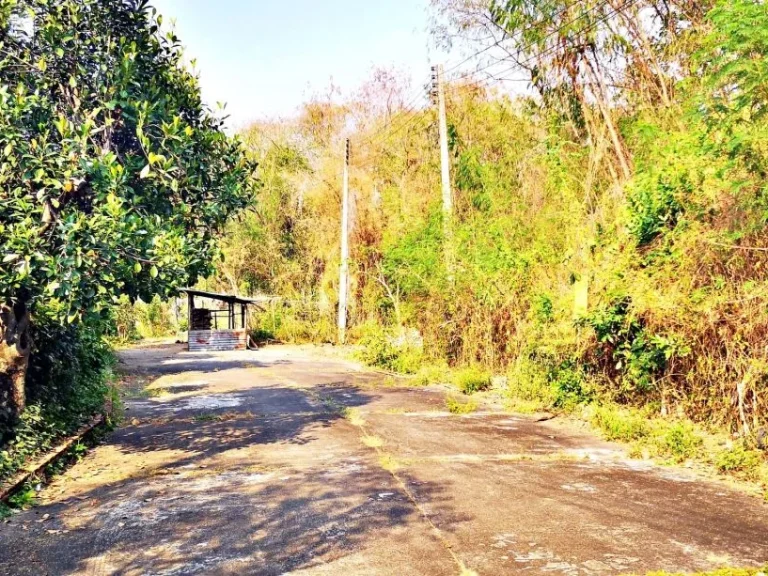 ขายที่ดินจัดสรรเก่า ถนนสันกำแพงสายเก่า ใกล้ดีญ่า วาเล่ย์