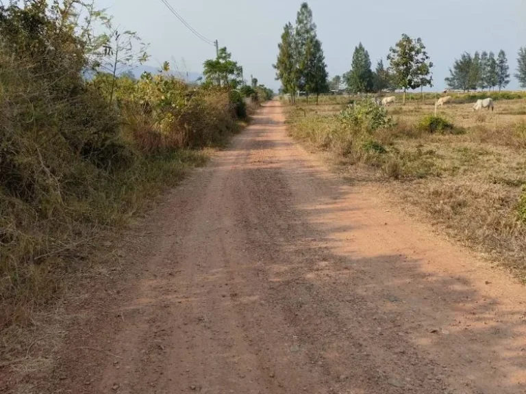 ที่ดินเปล่า ติดชายทะเล จประจวบคีรีขันธ์