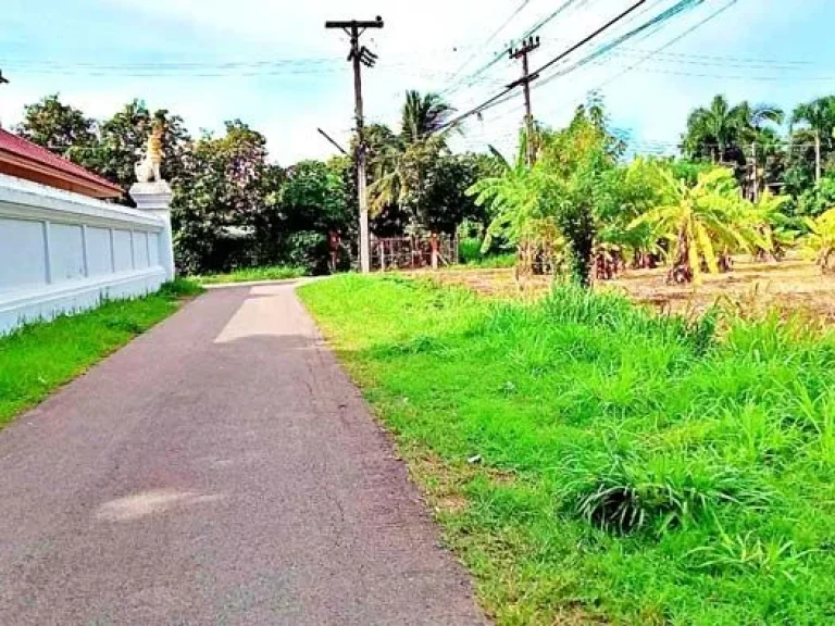 ขายที่ดิน โซนข่วงสันกำแพง ใกล้วัดสันกำแพงหลวง อยู่ในย่านชุมชน