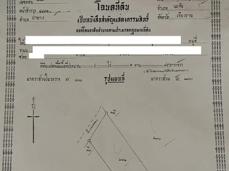 ขายที่ดินใกล้ไร่ชาฉุยฟง แม่จัน เชียงราย เนื้อที่ 8 ไร่ 3 งาน