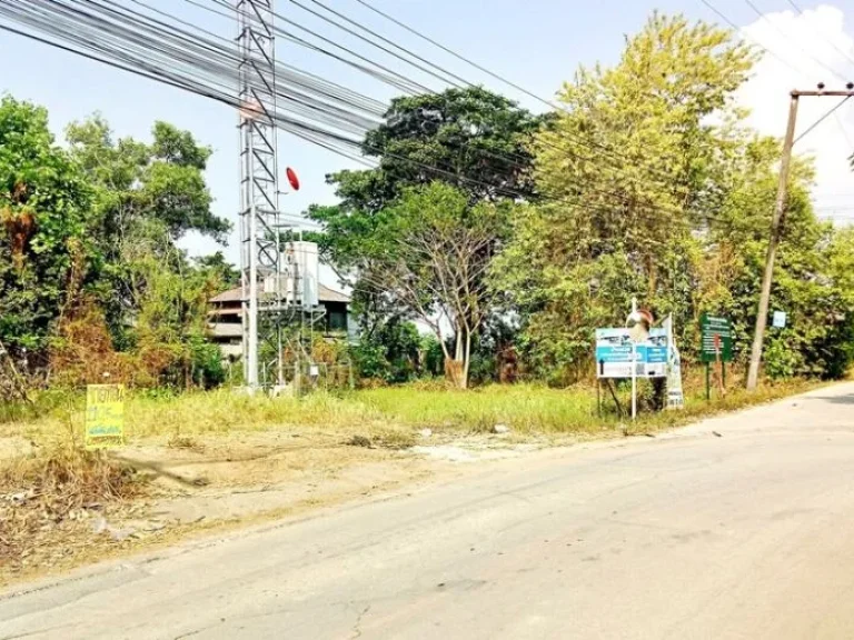 ขายที่ดิน โซนข่วงสันกำแพง ใกล้วัดสันกำแพงหลวง อยู่ในย่านชุมชน