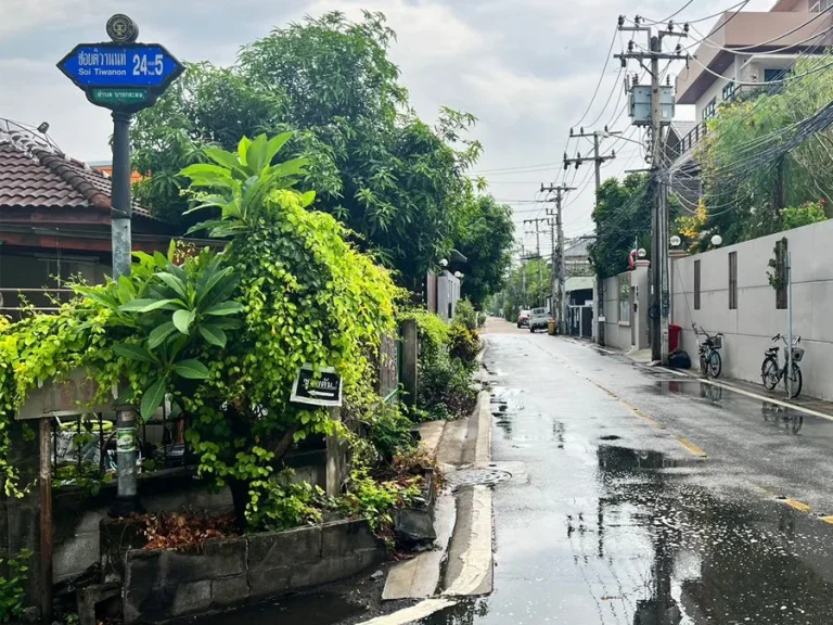 ขายที่ดินพร้อมบ้านเก่า100ตรว ซติวานนท์24แยก2 ทำเลดี