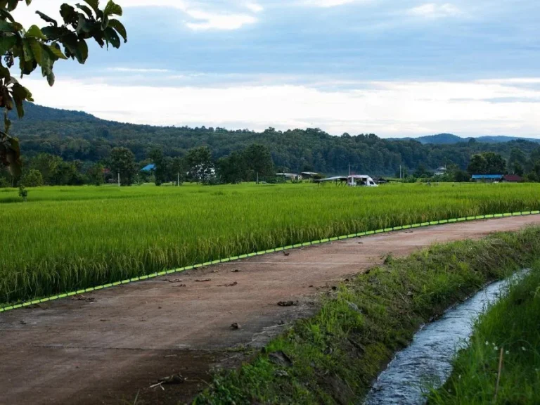 ขายที่ดิน อำเภอปัวจังหวัดน่าน วิวภูเขาดอยเด่นช้างนอน ทุ่งนา