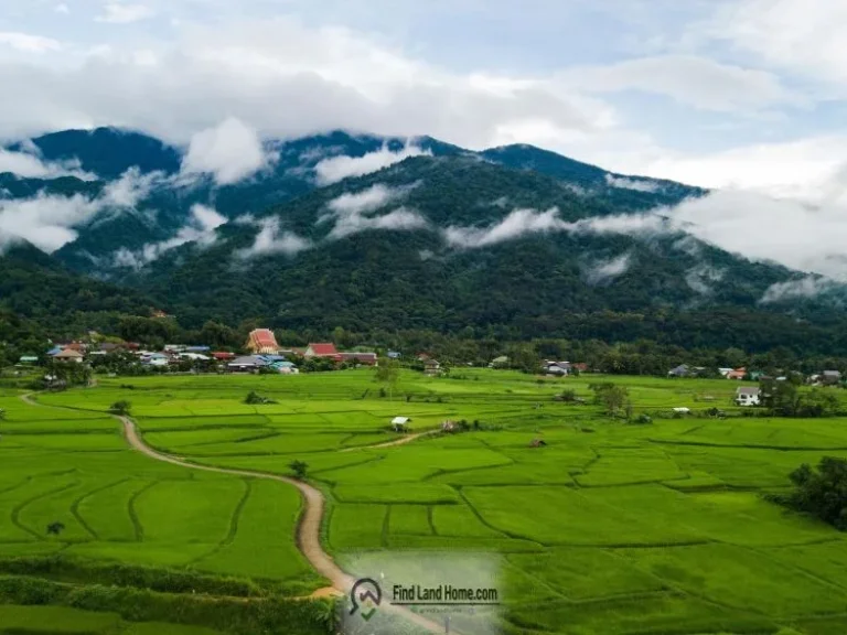 ขายที่ดิน อำเภอปัวจังหวัดน่าน วิวภูเขาดอยเด่นช้างนอน ทุ่งนา