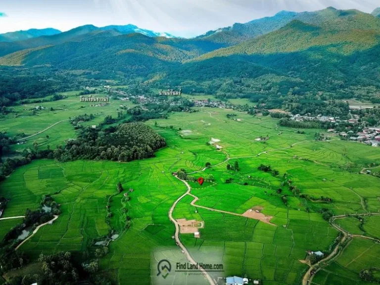 ขายที่ดิน อำเภอปัวจังหวัดน่าน วิวภูเขาดอยเด่นช้างนอน ทุ่งนา