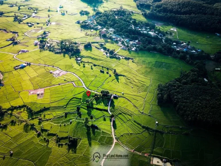 ขายที่ดิน อำเภอปัวจังหวัดน่าน วิวภูเขาดอยเด่นช้างนอน ทุ่งนา