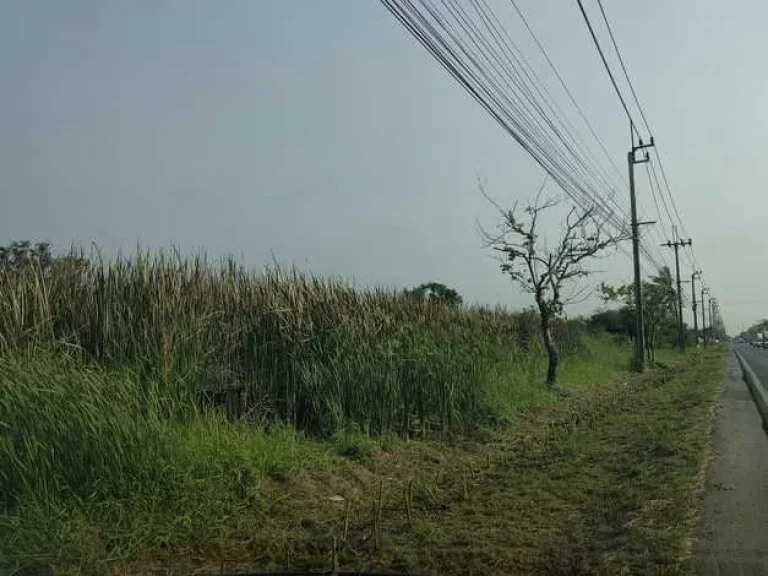 ขายที่ดิน 3 ไร่ ติดถนนร่วมพัฒนา ใกล้ถนนสุวินทวงค์