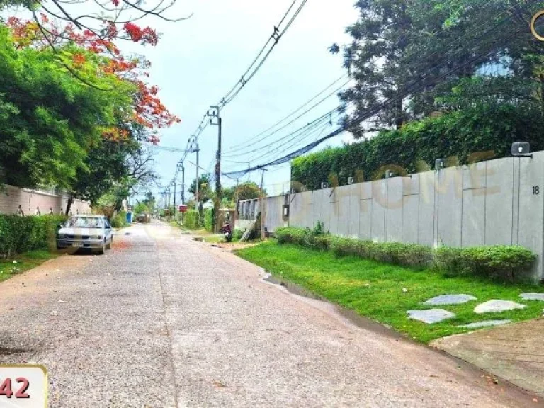 ที่ดินเปล่า ซร่วมมิตรพัฒนา ถนนวัชรพล บางเขน บรรยากาศร่มรื่น