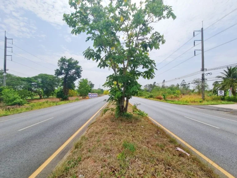 ที่ดินติดถนนมะลิวัลย์ พื้นดินต่ำกว่าถนนนิดเดียว