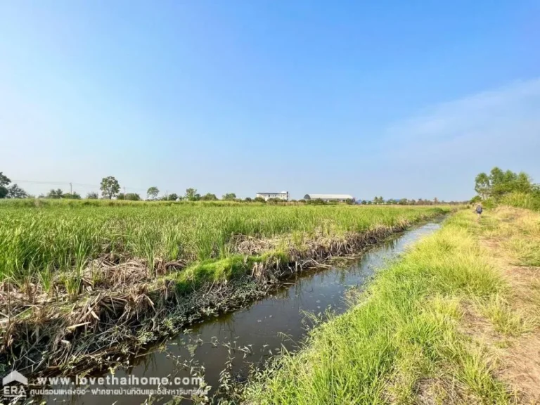 ขายที่ดินราคาถูก ทวีวัฒนา-ไทรน้อย นนทบุรี ติดถนนหมายเลข