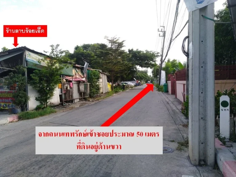 ขายที่ดิน 214 ตรวา ถนนเทพรักษ์ เขตบางเขน ถนนกว้าง