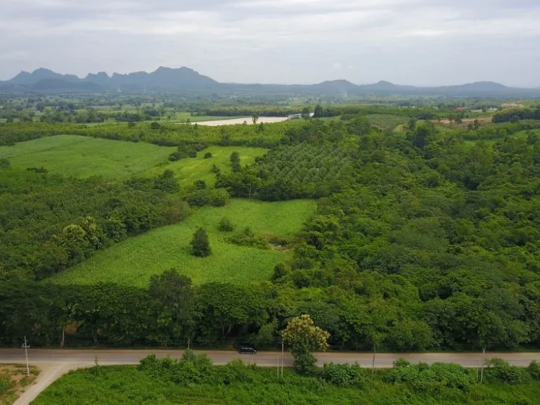 ขายที่ดินติดทางหลวง บไร่ทาม อเมืองเลย จเลย 9ไร่ 2 งาน 66