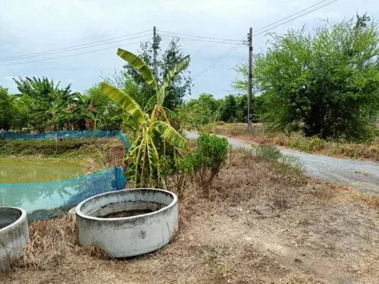 ขายที่ดินพร้อมสิ่งปลูกสร้าง อดอนเจดีย์ จสุพรรณบุรี เนื้อที่