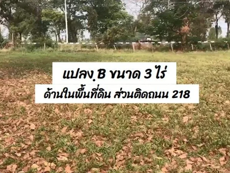 ที่ดินสวย เจ้าของขายเอง ขายเช่า 6-9 ไร่ ติดถนน - บุรีรัมย์