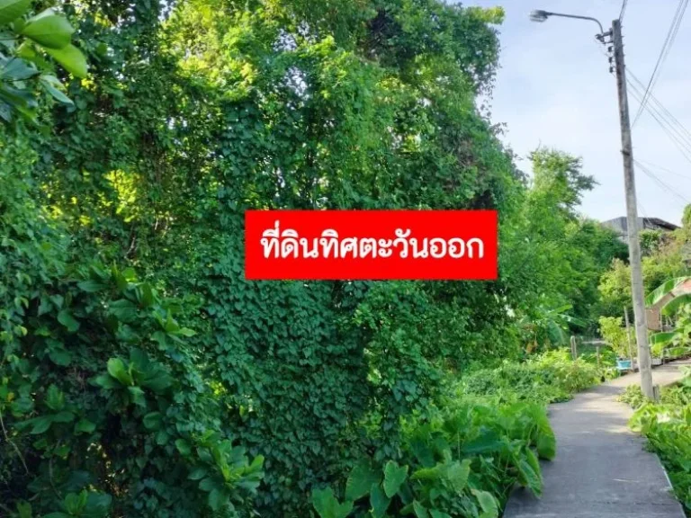 ขายที่ดิน ผังสีส้ม ย-5 พื้นที่ 5-1-5 ไร่ ประชาอุทิศ 69 แยก