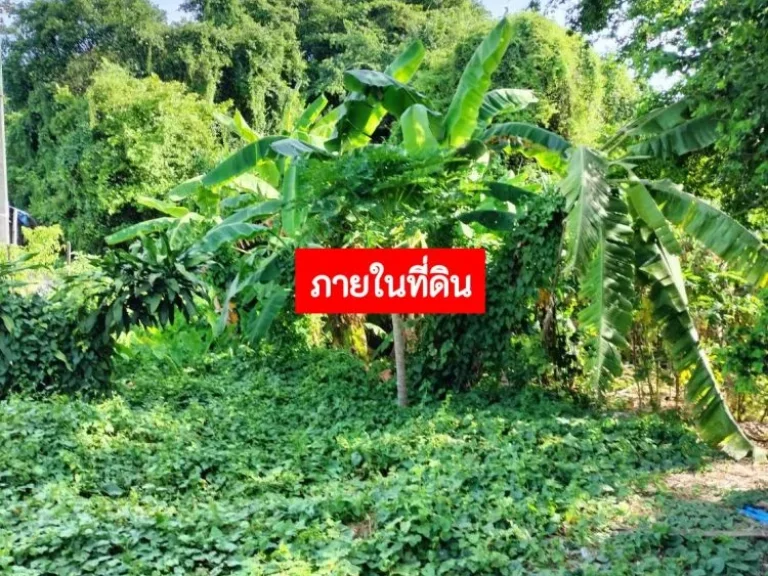 ขายที่ดิน ผังสีส้ม ย-5 พื้นที่ 5-1-5 ไร่ ประชาอุทิศ 69 แยก