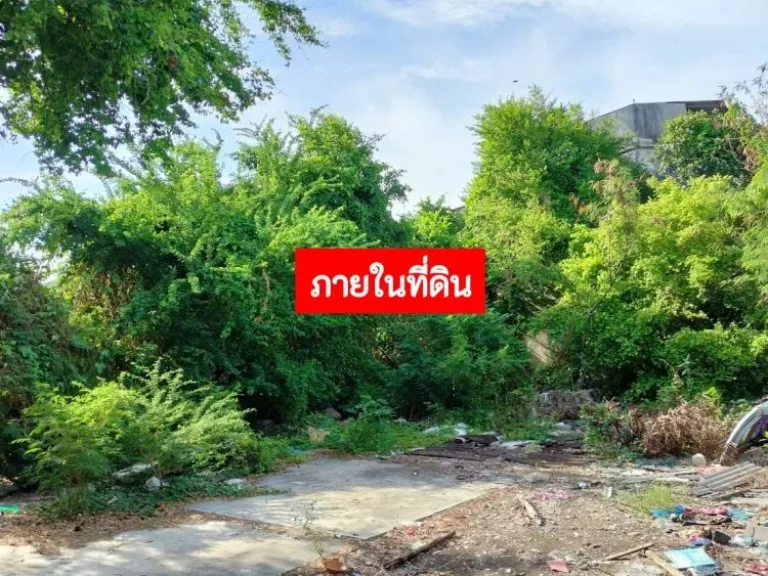 ขายที่ดิน ผังสีส้ม ย-5 พื้นที่ 5-1-5 ไร่ ประชาอุทิศ 69 แยก