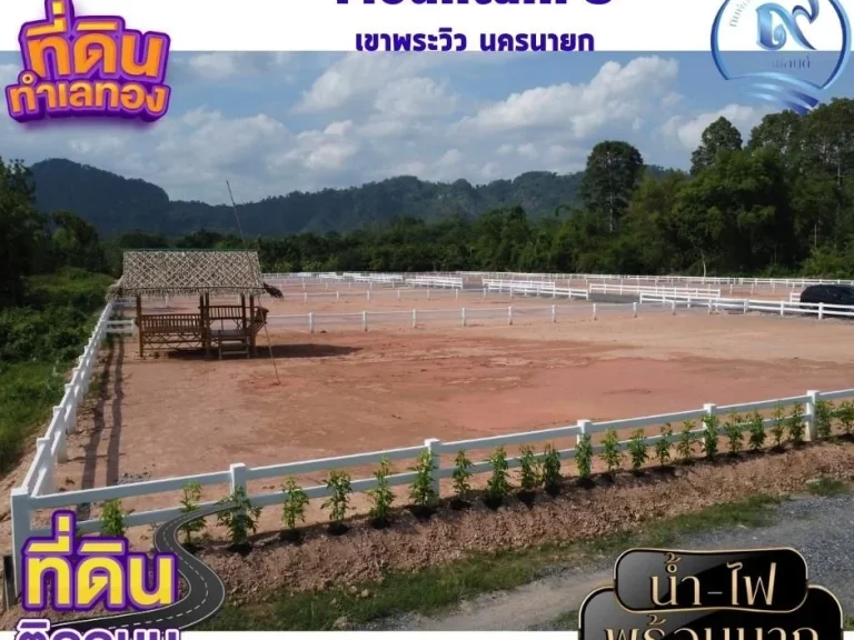 ขายที่ดิน โครงการ Mountain 5 เขาพระวิว เนื้อที่ 200 ตรว 2