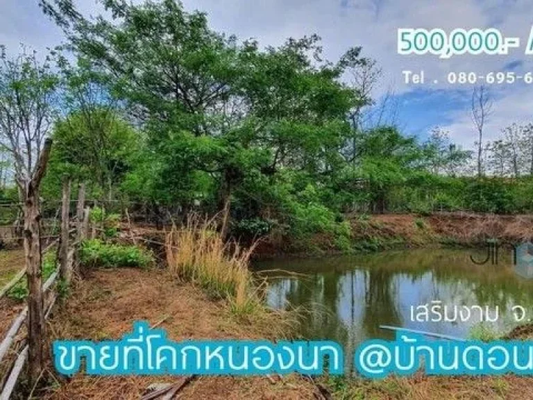 แบ่งแปลงขายที่ นาขั้นบันได โคกหนองนา บ้านดอนงาม อเสริมงาม