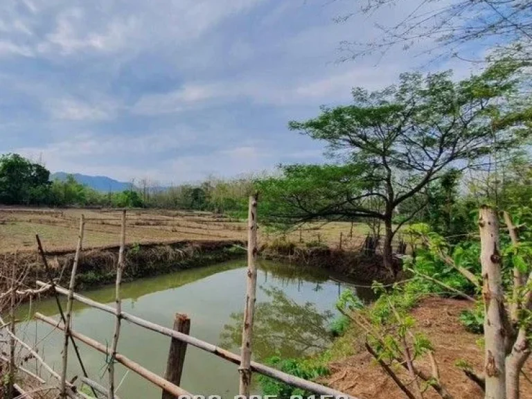 แบ่งแปลงขายที่ นาขั้นบันได โคกหนองนา บ้านดอนงาม อเสริมงาม