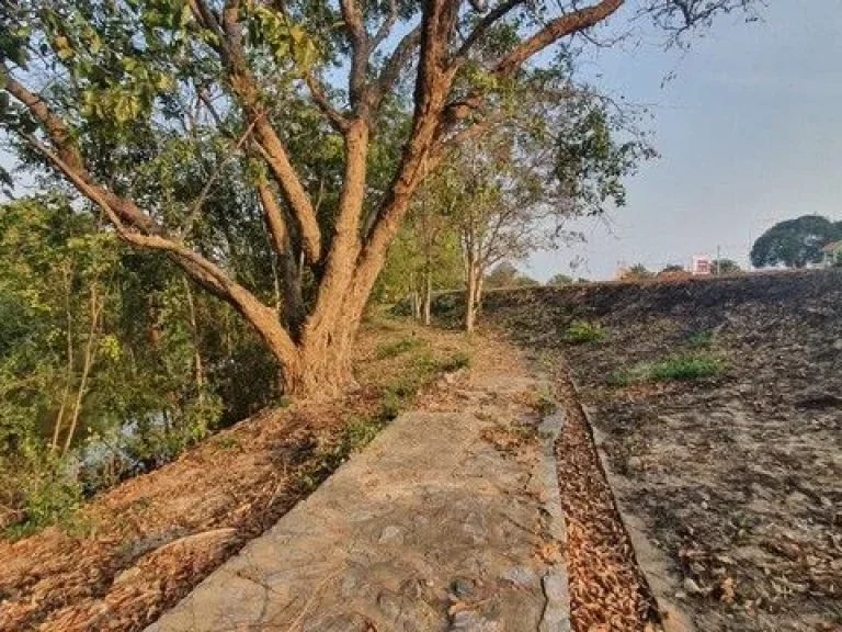 ขายที่ดิตทะเล หาดพยูน ใกล้สนามบินอู่ตะเภา บ้านฉาง ระยอง