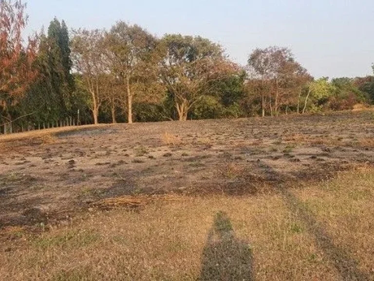 ขายที่ดิตทะเล หาดพยูน ใกล้สนามบินอู่ตะเภา บ้านฉาง ระยอง