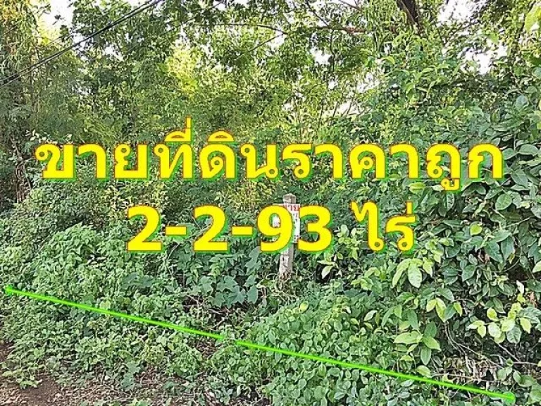 ขายที่ดินมุกดาหาร ติดแม่น้ำโขง ด่วน 85 ล้านจาก 15 ล้าน