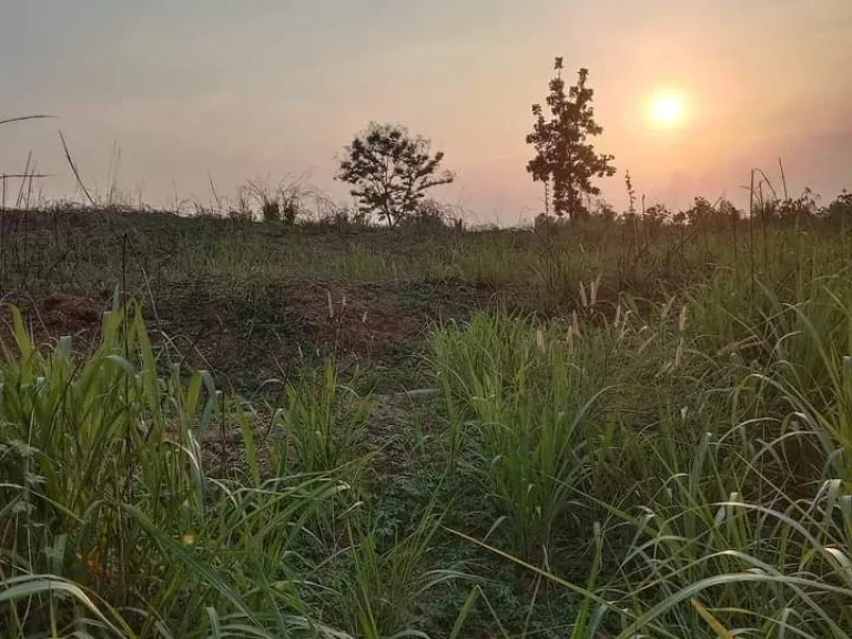 ที่ดินบนเนินสวย วิวสวย ติดถนนสามด้าน เขต อเมือง อุตรดิตถ์