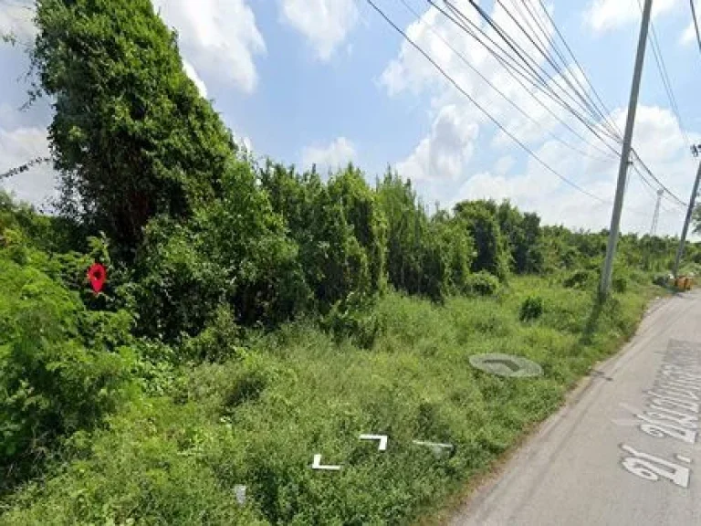 ขายที่ดิน 1 ไร่ ซชุมชนหลวงพ่อขาว บางขุนเทียน กรุงเทพมหานคร