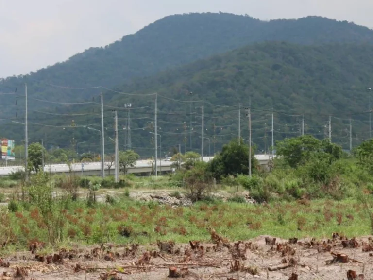 ขายที่ดินทำเลทอง เหมาะที่จะทำบ้านจัดสรร และทีดินเชิงภานิช