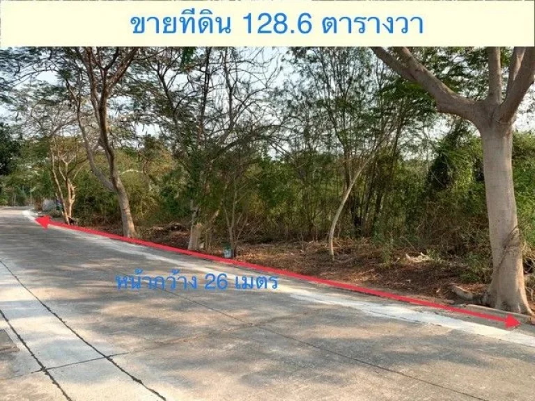 ขายที่ดินเปล่า 1286 ตรว แปลงสวย ถมแล้ว ใกล้เซ็นทรัลเวสเกต