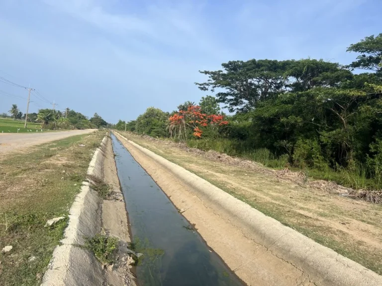 ที่นาติดถนนลาดยาง ติดคลองสาย 2 ติดคลองดี 9