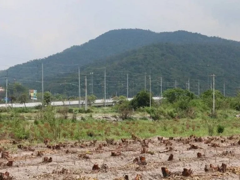 ขายที่ดินทำเลทอง ยุใจกลาง EECถนนข้าวหลามเส้นทางตัดใหม่มอเตอร