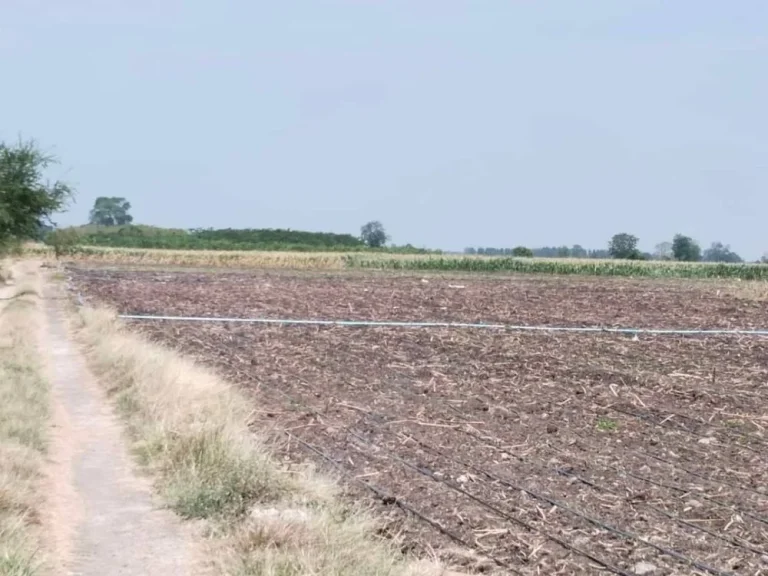 ขายที่ดินบ้านหมี่ 2 ไร่ น้ำไฟครบ ที่สูงไม่ต้องถม