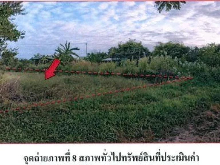 ขายที่ดินว่างเปล่า 200 ตรว ติดถนนชนสุภาพ ตหนองเรือ