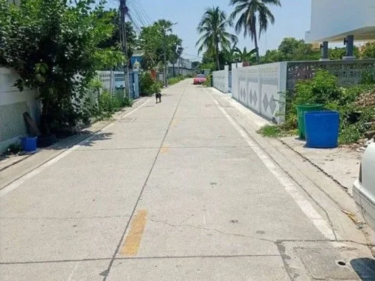 ขายที่ดินแนวรถไฟฟ้าบางใหญ่สายสีม่วง หลังเซ็นทรัลเวสท์เกต