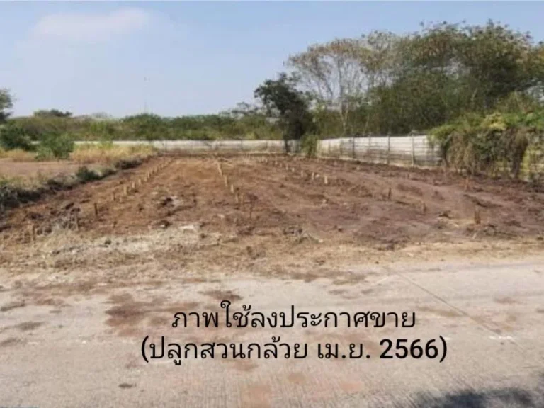 ขายที่ดินซอยคลองสี่ตะวันตก 20 ใกล้มอเตอร์เวย์