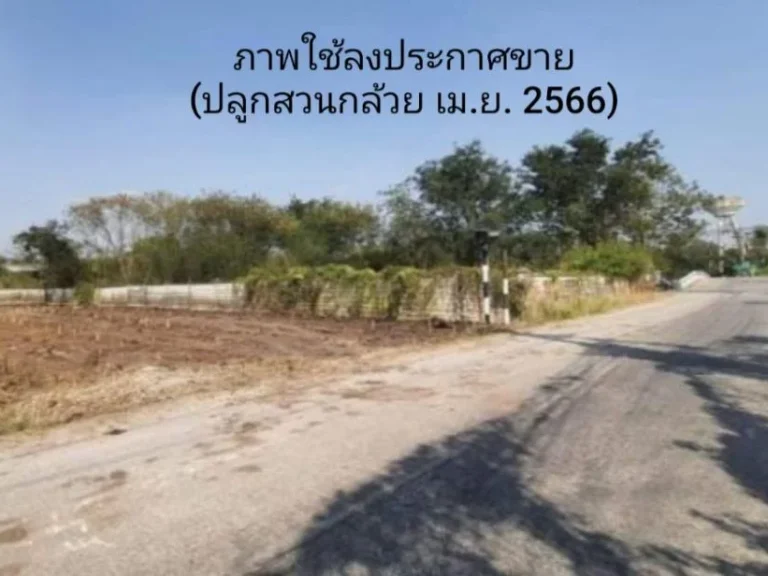 ขายที่ดินซอยคลองสี่ตะวันตก 20 ใกล้มอเตอร์เวย์