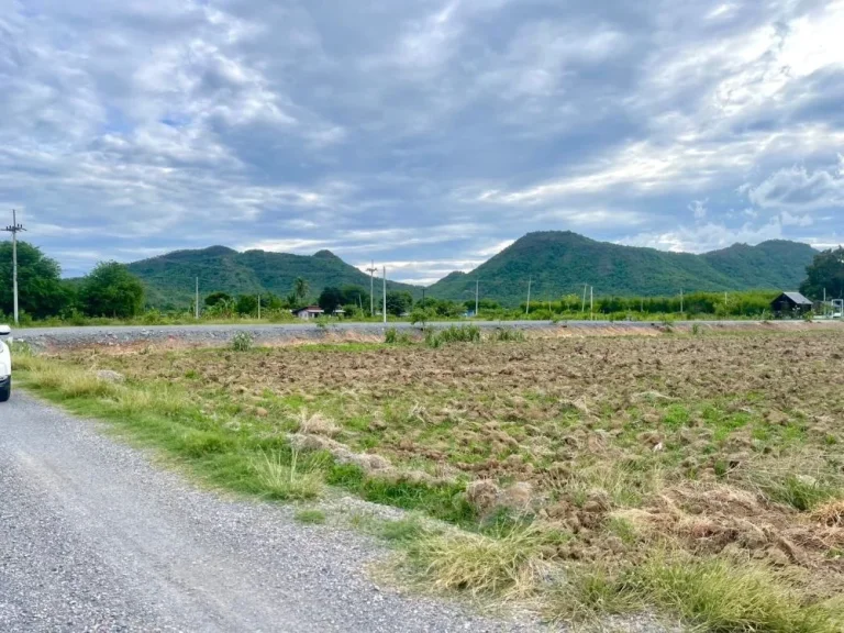 ขายที่ดิน พุหวายวิว เริ่ม 200 ตรว ใกล้น้ำ ใกล้เขา เขตชะอำ